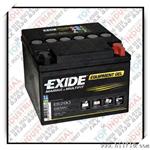 290 EXIDE胶体电池，EXIDE 290，原装