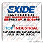 290 EXIDE胶体电池，EXIDE 290，原装
