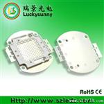 大功率LED 100W 集成光源 蓝光LED灯珠