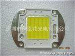 LED集成  台湾晶元70W 高光效、高功率     户外投光灯用