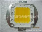 led  30w 台湾泰古45mil    集成光源