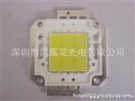 led  30w 台湾泰古45mil    集成光源