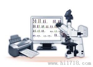 VideoTesT-H 荧光原位杂交图像分析系统H2.1