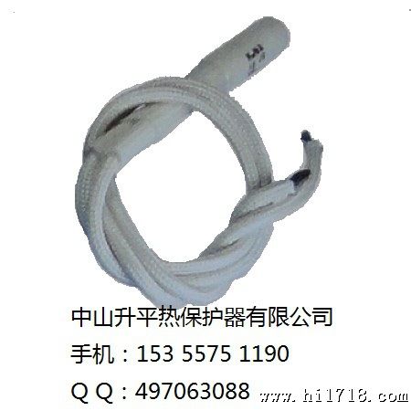 RY-05J CCC 10A 温度保险丝熔断体