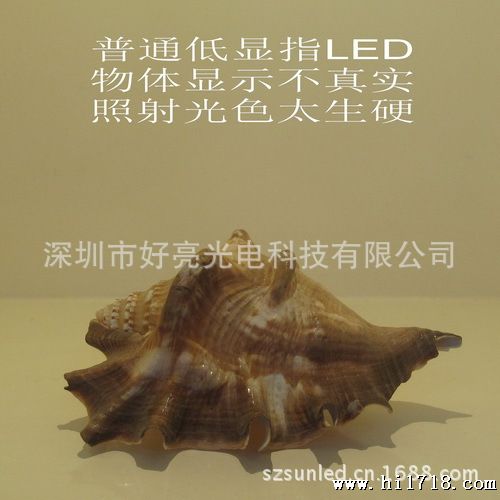 普通显指暖白500