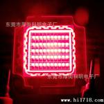 50W LED大功率 灯珠高端优质大功率LED 50W红色 晶元led 欢迎订购
