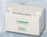 德国松树荷贝克12V140 天津代理商