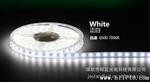 5050 LED水软灯条