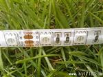 大量供应LED灯带，LED装饰彩灯，LED灯条