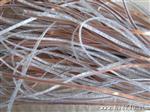 广州LED软灯条   LED灯带厂家   3528一米60灯   套管水