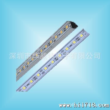 LED软灯条 RML-SMD5050-30珠