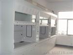 贵州水城实验室全钢通风柜/重庆渝中区实验室家具设备