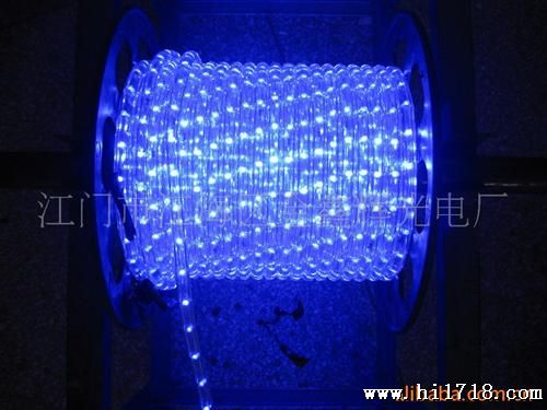 生产各种型号LED柔性灯带：蓝、黄、红、绿等LED软灯带灯条