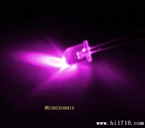 5mmLED发光二管 5MM紫色LED灯珠 深圳LED封装