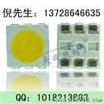 L50正白  SMD5050暖白 光源 二管 5050  贴片灯珠