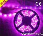 国普长期SDM5050 1米30灯 高端产品 LED软灯条 LED灯带