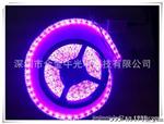 供应台湾芯片 高亮度5050 30灯滴胶 水 不水 LED灯条、灯带