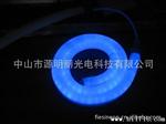 LED柔性霓虹管（蓝色）、软灯条、LED柔性灯带、装饰灯、户外景观