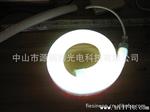 LED柔性霓虹管（蓝色）、软灯条、LED柔性灯带、装饰灯、户外景观
