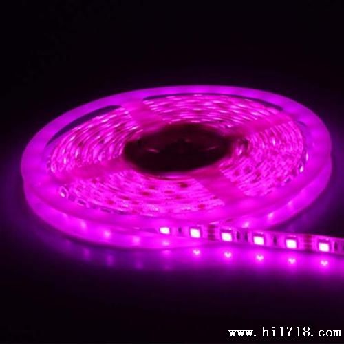  led3528软灯条 装饰灯带灯条 12V 柔性LED灯带 三年质保