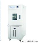 供应上海一恒 BPHS-060A高低温湿热试验箱