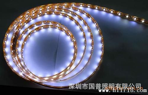 国普长期 供应高端品质 质保1年 SDM5050 1米60灯  LED软灯条
