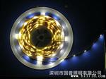 国普长期 供应高端品质 质保1年 SDM5050 1米60灯  LED软灯条