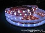 国普长期 供应高端品质 质保1年 SDM5050 1米60灯  LED软灯条