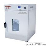 恒温鼓风干燥箱 立式300度干燥箱 高温烘箱DHG-9245