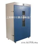 DHG-9145A上海立式300度电热恒温鼓风干燥箱 老化箱 烘箱