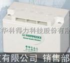 批发原装荷贝克蓄电池成都代理
