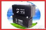 固定型阀控密封式蓄电池 ups 电池 12V150AH