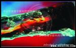 供应亮度显示屏    室内P7.62三合一全彩LEd显示屏