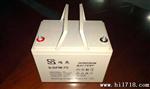 12V75AH洗地机配套蓄电池