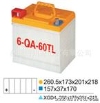 免维护蓄电池壳模具，塑料模具厂，塑模产品