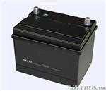 免维护蓄电池壳模具，塑料模具厂，塑模产品