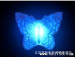 地摊货源 发光玩具批发 蝴蝶七彩小夜灯 闪光灯 自动变色灯
