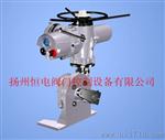 IQM10,IQM12,IQM18,IQM20,IQM25,IQM35 IQ罗托克电动执行机构