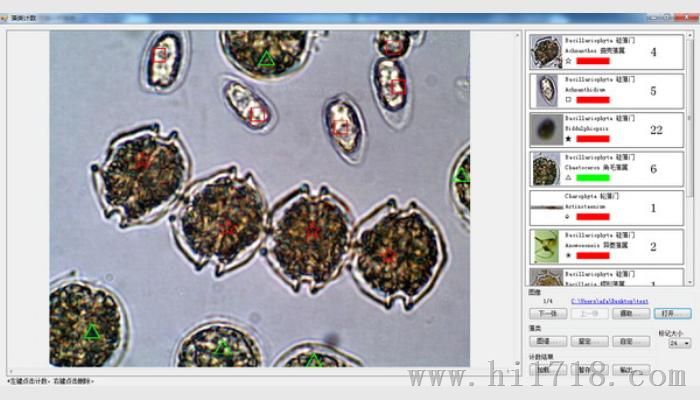 AlgaeC型浮游生物计数分析智能鉴定