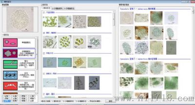 AlgaeC型浮游生物计数分析智能鉴定