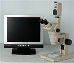 SZ45-ST1显微镜批发 现货报价