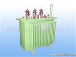 油浸式电力变压器