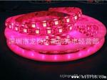 LED灯条 5050 60灯LED 红色 软灯条