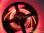 厂家供应  5050灯条  LED灯条，灯带