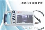 牛场测牛仪器价格