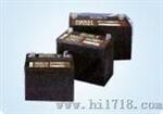 现货大力蓄电池MPS 12-200A/12V200