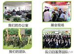 【新款】深圳厂家供应小家电9V 12V 1000MA带线电源适配器