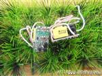 LED电源厂家 研发/生产 4-5X2W内置射灯 球泡灯电源等系列