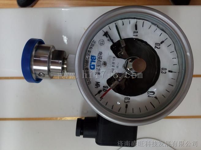 布莱迪YXCN-100HF6卫生型磁助耐震电接点压力表