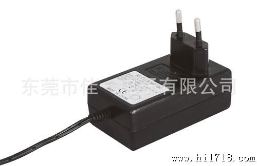 供应电筒充电器12v 功率42W EN60335标准